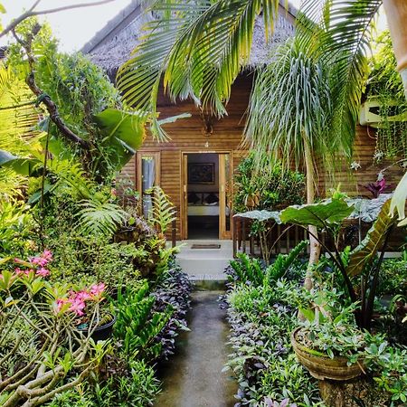 The Catar Cottages Toyapakeh المظهر الخارجي الصورة